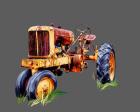 Vintage Tractor IX