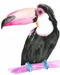 Technicolor Toucan II