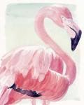 Pastel Flamingo II