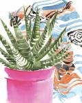 Zebra Succulent II