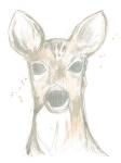 Deer Cameo II