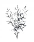 Paynes Grey Botanicals I