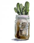 Cactus Mason Jar I