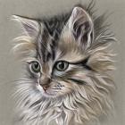 Kitten Portrait I