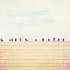 Birds on Wires III