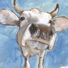 Cattle Close-up I