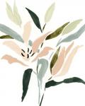 Lily Abstracted II