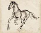 Gestural Apaloosa I