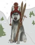 Husky Skiing