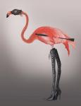 Flamingo with Kinky Boots