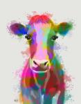 Rainbow Splash Cow