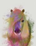 Pony 1 Portrait Rainbow Splash