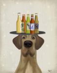 Great Dane Tan Beer Lover