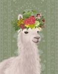 Llama Bohemian 4