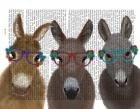 Donkey Trio Flower Glasses Book Print