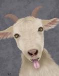 Funny Farm Goat 2