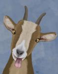 Funny Farm Goat 3