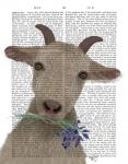 Goat and Bluebells Book Print