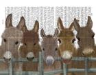 Donkey Herd at Fence Book Print