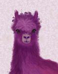 Llama Purple Meadow Flowers