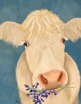 Cow Cream, Bluebells