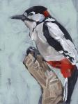 Woodpecker Paintstrokes I