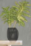 Frond in Vase II