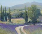 Lavender Meadow II