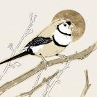 Spring Passerine I