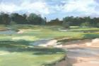 Golf Course Study II