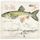 Trout Journal III