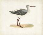 Sandpiper I