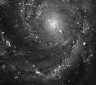 Hubble Space Telescope Imaging of Hot Gas and Star Birth in M101