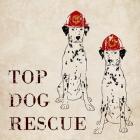 Top Dog Rescue
