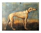 Greyhound, Giandomenico Tiepolo