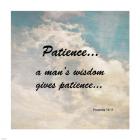 Patience Proverbs 19:11