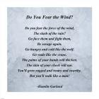 Hamlin Garland - Do you Fear the Wind quote