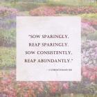 Sow Sparingly