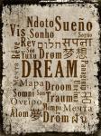 Dream in Multiple Languages
