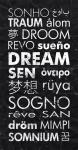 Dream in Different Languages