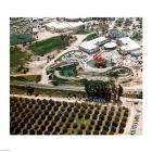 Disneyland and Orange Groves, 1955