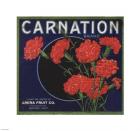 Carnation Brand Oranges, Anaheim