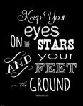 Keep Your Eyes On the Stars - Theodore Roosevelt