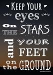 Keep Your Eyes On the Stars- Theodore Roosevelt