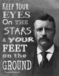 Keep Your Eyes On the Stars and Your Feet On the Ground - Theodore Roosevelt