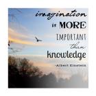 Imagination is More Important Than Knowledge - Albert Einstein