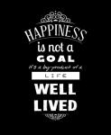 Happiness Is Not A Goal