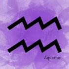 Aquarius - Violet