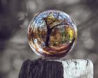 Pop of Color Glass Sphere