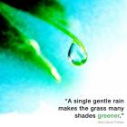 A Single Gentle Rain - Henry Thoreau Quote (Droplet)